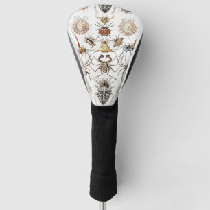 Dark Academia Haeckel Vintage Spider Symmetry Art Golf Head Cover