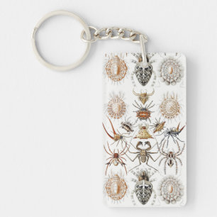 Dark Academia Haeckel Vintage Spider Symmetry Art Keychain