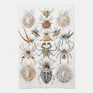 Dark Academia Haeckel Vintage Spider Symmetry Art Kitchen Towel