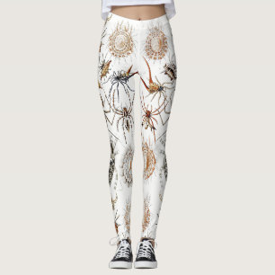 Dark Academia Haeckel Vintage Spider Symmetry Art Leggings