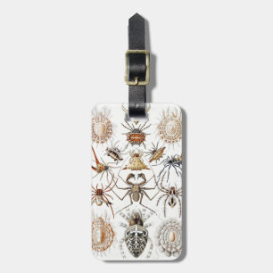 Dark Academia Haeckel Vintage Spider Symmetry Art Luggage Tag