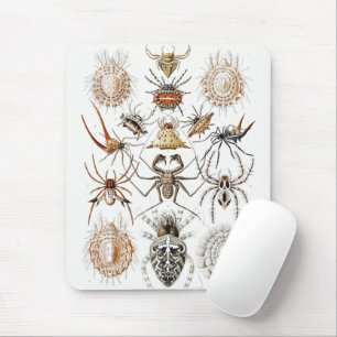 Dark Academia Haeckel Vintage Spider Symmetry Art Mouse Pad