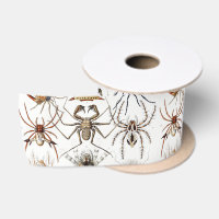 Dark Academia Haeckel Vintage Spider Symmetry Art