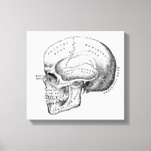 Dark Academia Skull Canvas Art