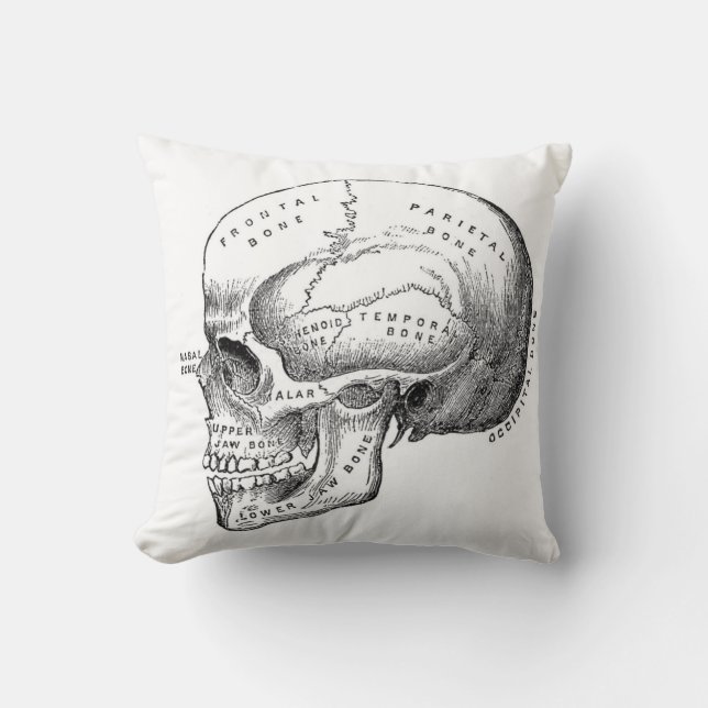 Dark Academia Skull Pillow (Front)