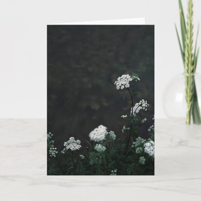 Dark and moody meadow, Sympathy Card (Front)