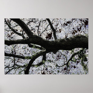 Dark Art Tree Branches poster by J.W. Fatherree.