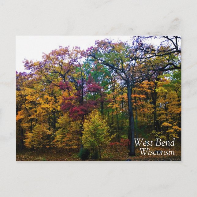 Dark Autumn Forest Postcard (Front)