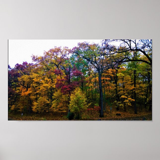 Dark Autumn Forest Poster (Front)