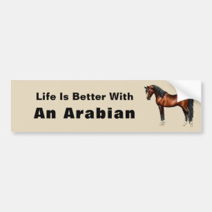 Dark Bay Egyptian Arabian Horse Bumper Sticker
