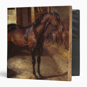 Dark Bay Horse in the stable Binder