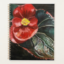 Dark Begonia en aquarelle