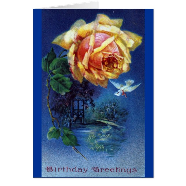 Dark Blue Background Rose and Dove Postcard (Front)