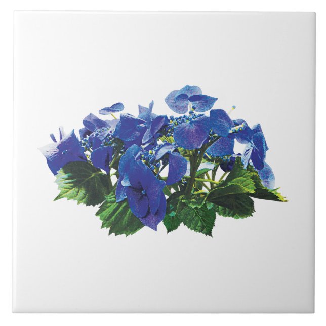 Dark Blue Hydrangea Lace Cap Tile (Front)