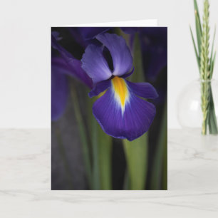 Dark Blue Iris Flower Bouquet Card