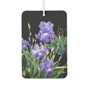 Dark blue iris flowers air freshener