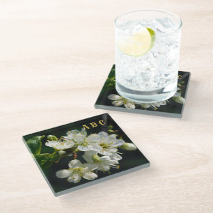 Dark Botanical White Plum Blossom Glass Coaster