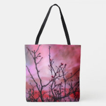 Dark Branches Red Buds And Fiery Sky