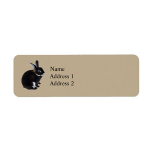 Dark Brown and White Mini Rex Rabbit