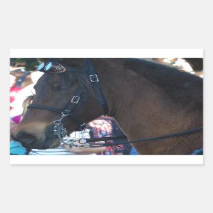 Dark Brown Arabian Horse wearing goggles Sticker