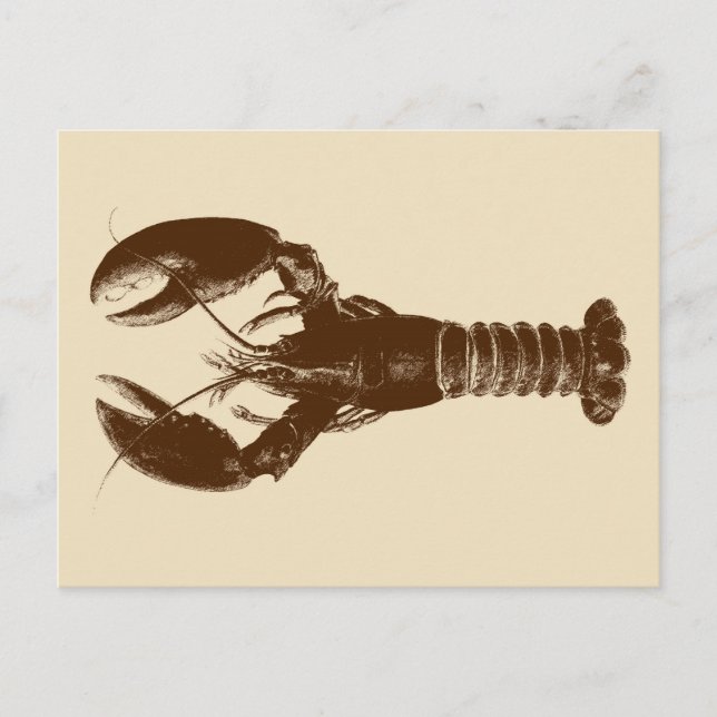 Dark Brown Lobster on Light Beige Postcard (Front)