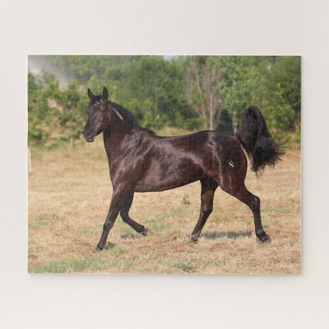 Dark Brown Spanish Mustang Mare Walking Jigsaw Puzzle (Horizontal)