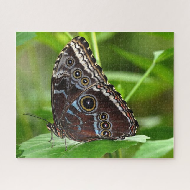Dark Butterfly Sitting on Leaf Jigsaw Puzzle (Horizontal)
