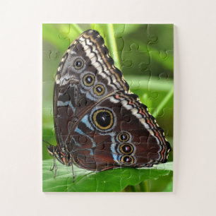 Dark Butterfly Sitting on Leaves in Nature Jigsaw Puzzle