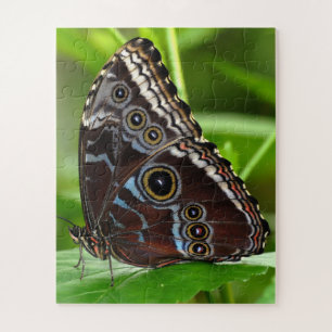 Dark Butterfly Sitting on Leaves in Nature Jigsaw Puzzle