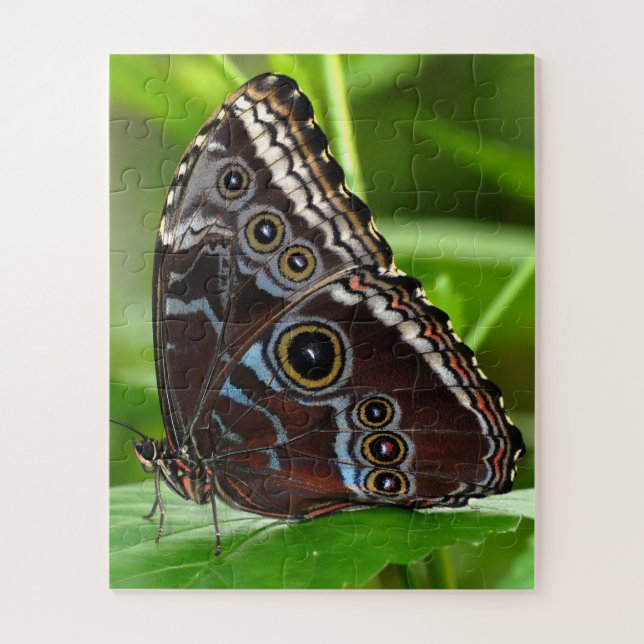 Dark Butterfly Sitting on Leaves in Nature Jigsaw Puzzle (Vertical)