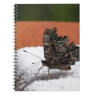Dark Camouflage Butterfly Notebook