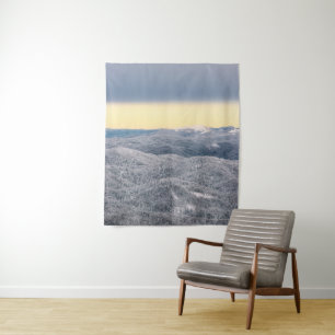 Dark clouds sunny sky and snowy winter forest tapestry