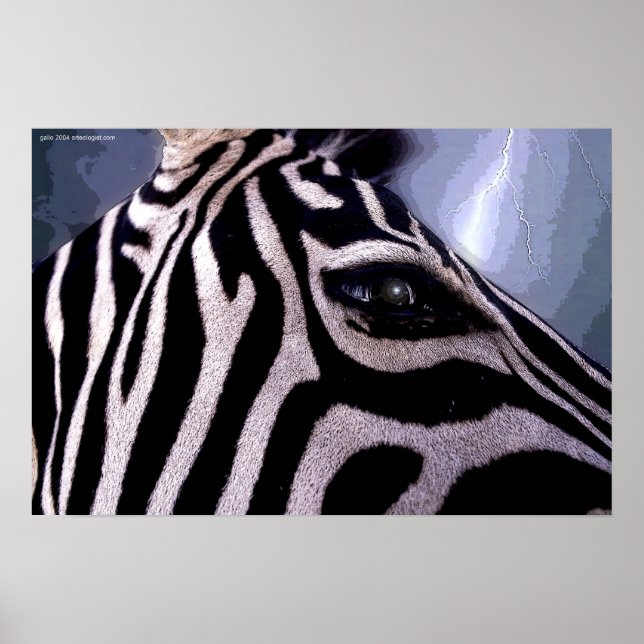 Dark Continent by Gregory Gallo Poster (Front)