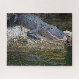 Dark Crocodile with Clear Reflection in Water Jigsaw Puzzle