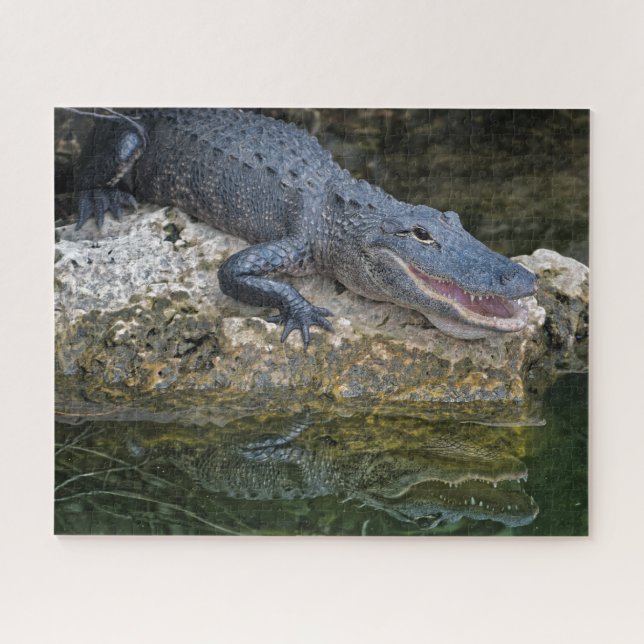 Dark Crocodile with Clear Reflection in Water Jigsaw Puzzle (Horizontal)