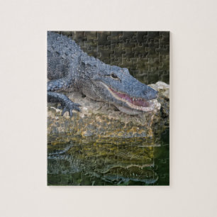 Dark Crocodile with Clear Reflection in Water Jigsaw Puzzle