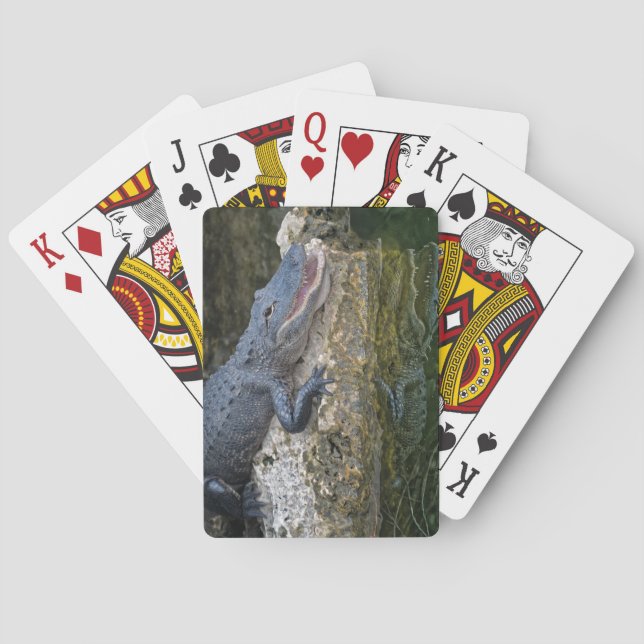 Dark Crocodile with Clear Reflection in Water Playing Cards (Back)