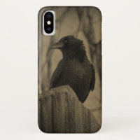 Dark Crow