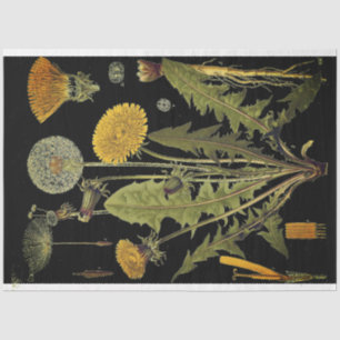 Dark Dandilion Furniture Decoupae Paper