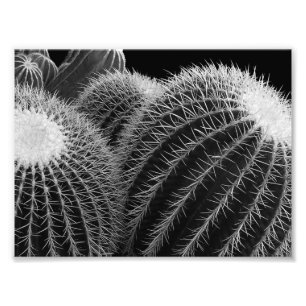Dark Desert. Photo Print