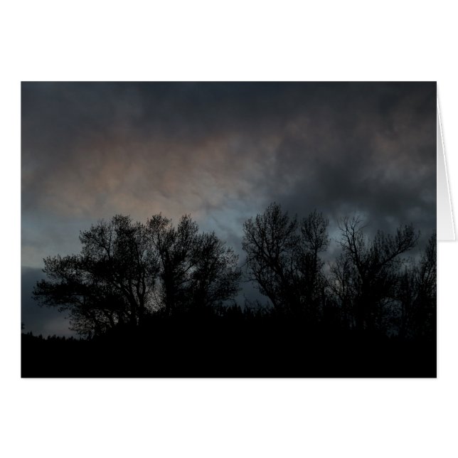 Dark Evening (Front Horizontal)
