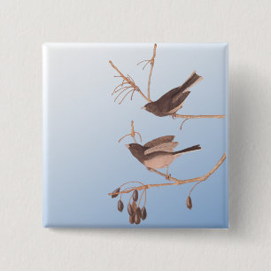 Dark-Eyed Junco Audubon Snow Birds on Bare Branch 2 Inch Square Button