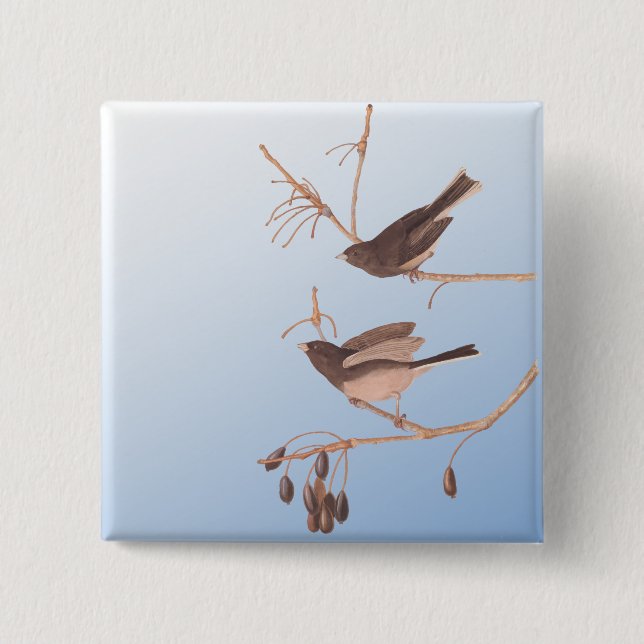 Dark-Eyed Junco Audubon Snow Birds on Bare Branch 2 Inch Square Button (Front)