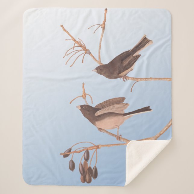 Dark-Eyed Junco Audubon Snow Birds on Bare Branch Sherpa Blanket (Front)