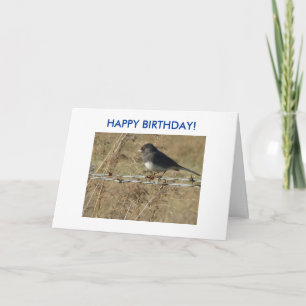 Dark-eyed Junco & Barbwire, HAPPY BIRTHDAY! Card