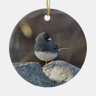 Dark-eyed junco ceramic ornament