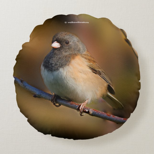 Dark-Eyed Junco on a Limb Round Pillow (Front)
