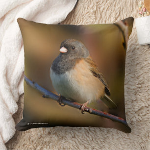 Dark-Eyed Junco on a Limb Throw Pillow