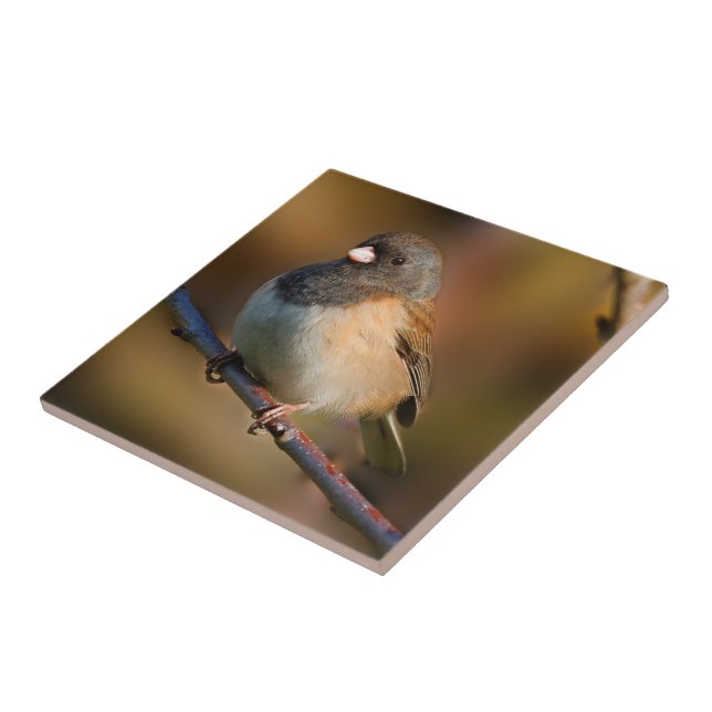 Dark-Eyed Junco on a Limb Tile (Side)