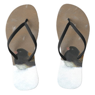 Dark-Eyed Junco Painting - Original Bird Art Flip Flops